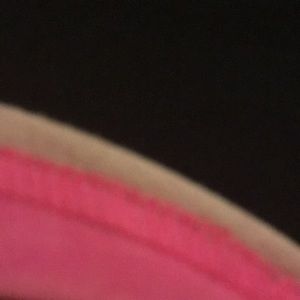 Meet your Posher, Alanna